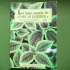 Les bons conseils de Yvan le jardinier, Yvan, Labor/RTBF, 1986 – Image 5