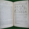 Manuel de la flore de Belgique, François Crépin, Gustave Mayolez, 1884 – Image 3